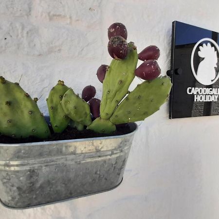 Capodigallo Holiday Trullo Monte Santo Alberobello Dış mekan fotoğraf