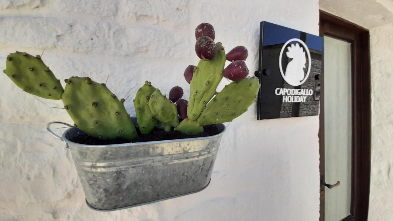 Capodigallo Holiday Trullo Monte Santo Alberobello Dış mekan fotoğraf